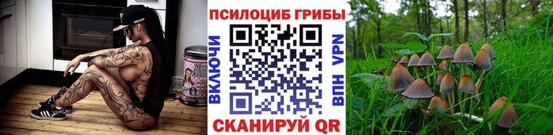 продажа наркотиков  Томилино  Псилоцибиновые грибы мицелий 